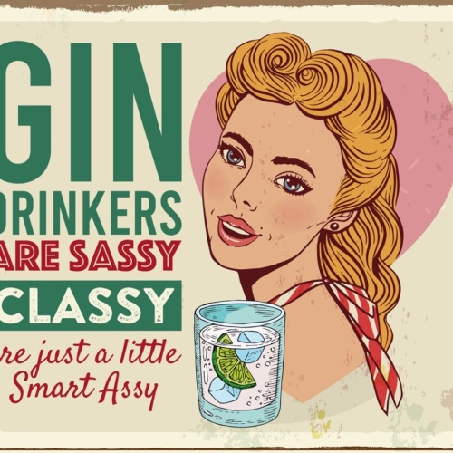 Schild Gin Drinkers Are Classy Sassy Smart Assy 12x18 20x30 30x40 Blech/Holz