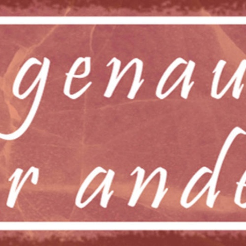 Schild Ja Genau So Aber Anders Zustimmung Erklärung 27 x 10 Blech od. Holz