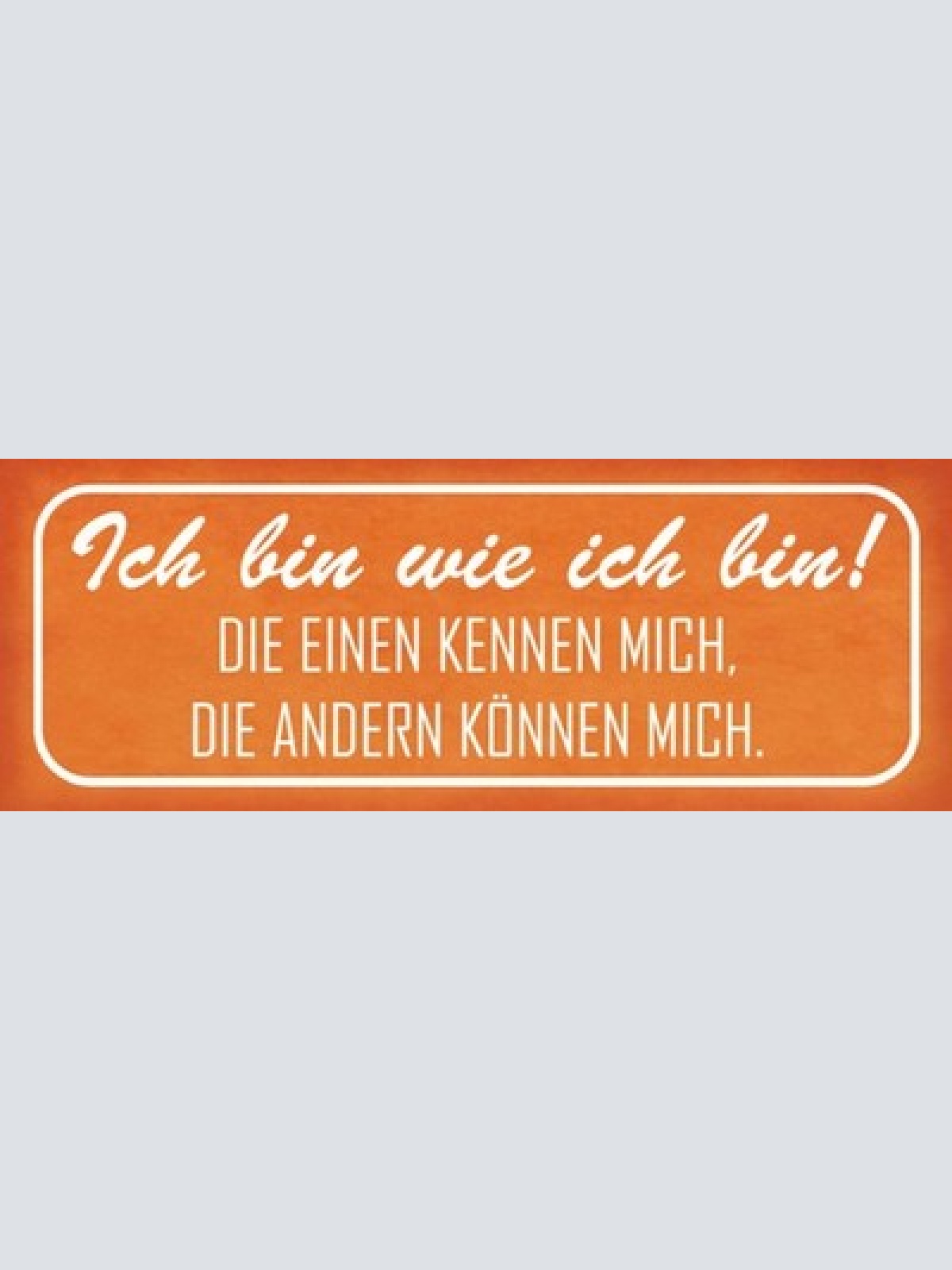 Schild Ich Bin Wie Ich Bin Die Einen Kennen Mich Die Anderen Können Mich 27x10