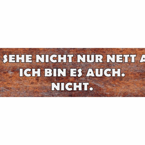 Schild Wilder Sex Geld Brieftasche Vermehren Geldbörse 46 x 10 Blech od. Holz