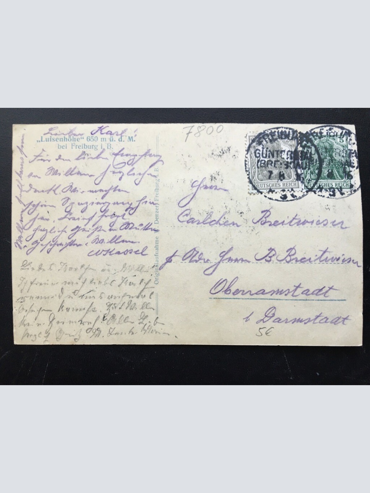 Luisenhöhe bei Freiburg im Breisgau - Alm Kühe - Deutschland 400264 TH