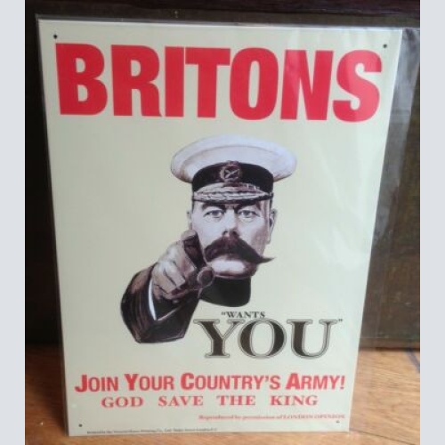 Britons wants You  30x41 cm     11993