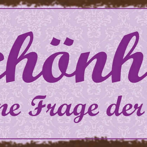 Schild Schönheit Ist Keine Frage Der Optik Innere Werte 27x10 Blech od.Holz