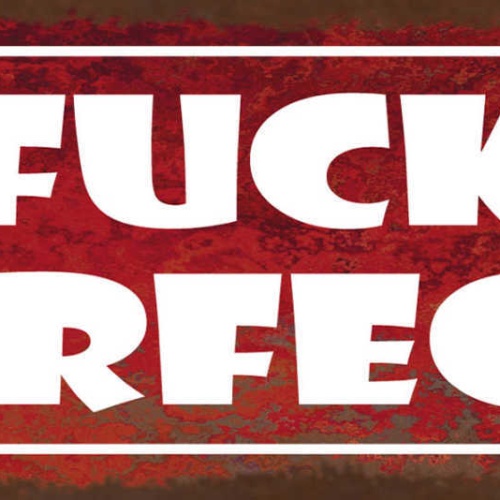 Schild Fuck Perfect Scheiss Auf Perfekt Imperfekt Perfektion 27x10Blech od.Holz