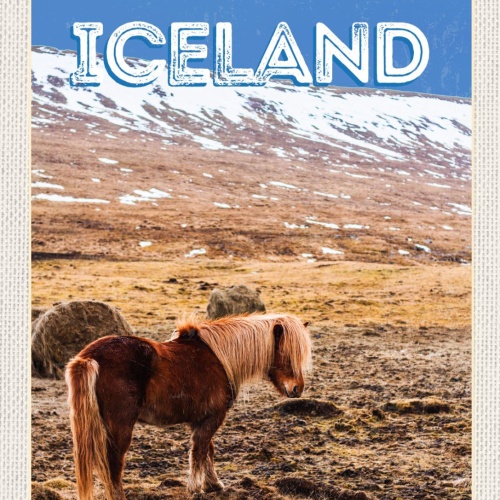 Schild Iceland Island Pferd Pony Isländer 12x18 20x30 30x40 Blech od. Holz