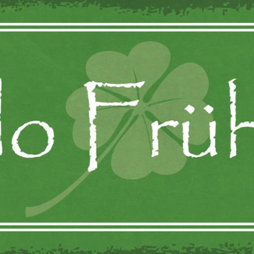 Schild Hallo Frühling Jahreszeit Frühjahr Lenz Blumen Grün 27x10 Blech od.Holz