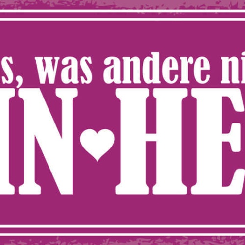 Schild Du Hast Was Andere Nicht Haben Mein Herz Liebe Ehe 27x10 Blech od.Holz