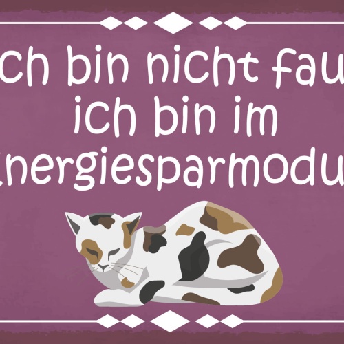 Schild Katze Faul Energiesparmodus Müde 12x18 / 20x30 / 30x40 Blech od. Holz