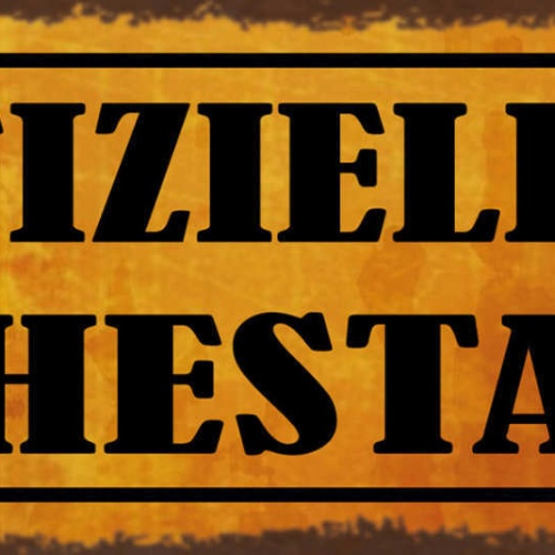 Schild Offiziell Im Ruhestand Pension Rente Pensionist 27x10 Blech od.Holz