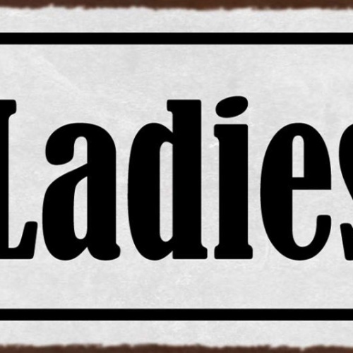 Schild Ladies Damen Frauen Umkleide Raum WC Toilette Klo 27x10 Blech od.Holz