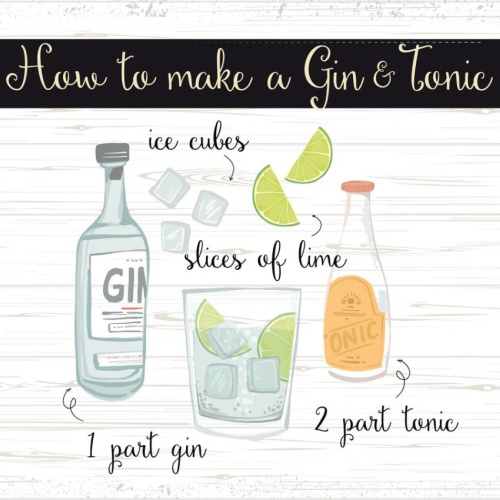 Schild How To Make A Gin & Tonic Rezept Alkohol Bar 12x18 20x30 30x40 Blech/Holz