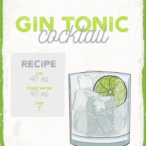 Schild Gin Tonic Cocktail Rezept Bar Alkohol Drink 12x18 20x30 30x40 Blech/Holz