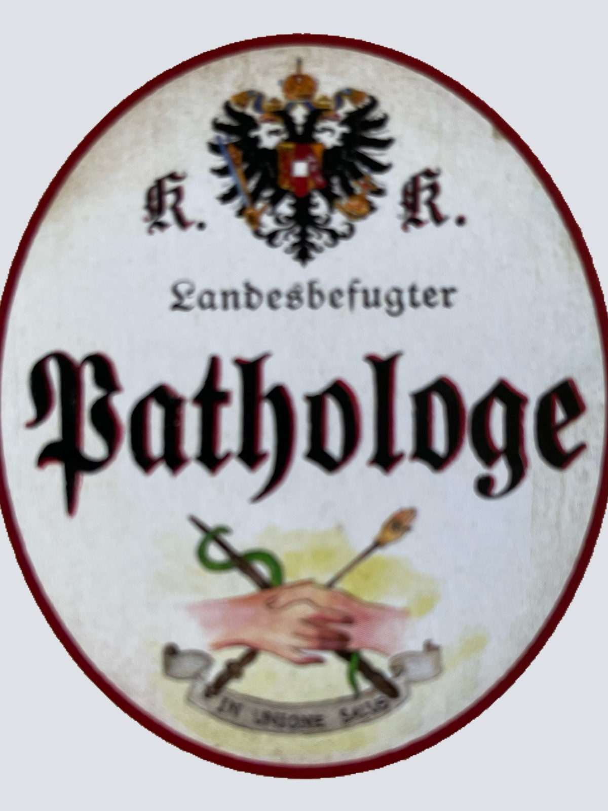 KuK Nostalgie Holzschild Landesbefugter Pathologe Pathologie Schild