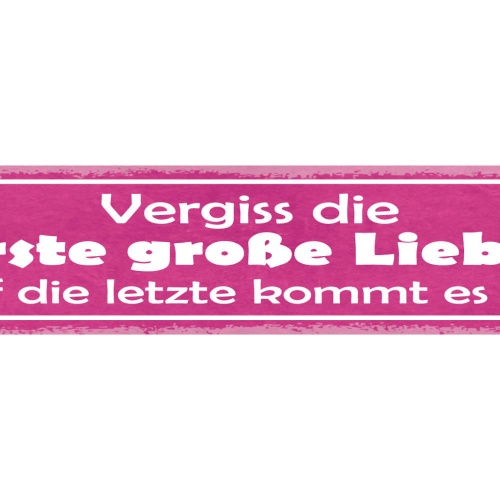 Schild Vergiss Die Erste Große Liebe Auf Die Letzte Kommt Es An 46 x 10