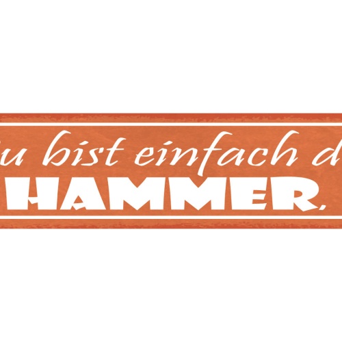 Schild Du Bist Einfach Der Hammer Einmalig Unglaublich 46 x 10 Blech od. Holz