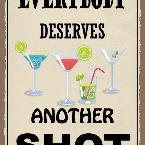 Schild Another Shot Cocktail Alkohol Bar 12x18 / 20x30 / 30x40 Blech od. Holz