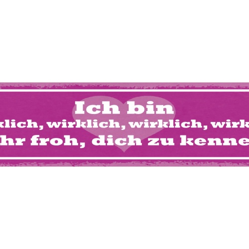 Schild Ich Bin Wirklich Wirklich Sehr Froh Dich Zu Kennen 46 x 10 Blech od. Holz