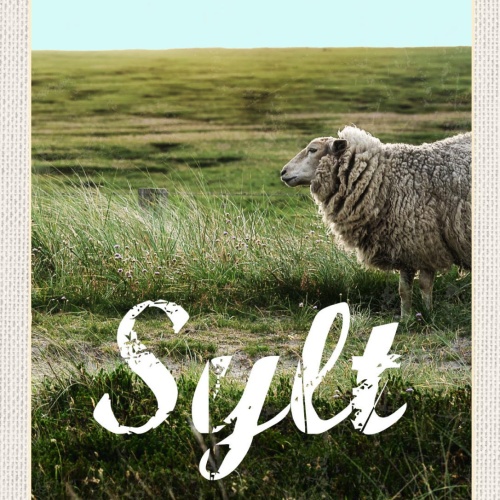 Schild Sylt Insel Schaf Weide Küste Ostfriesland D 12x18 20x30 30x40 Blech/Holz