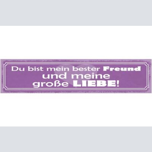 Schild du bist mein bester freund und meine große liebe 46 x 10 blech od. holz