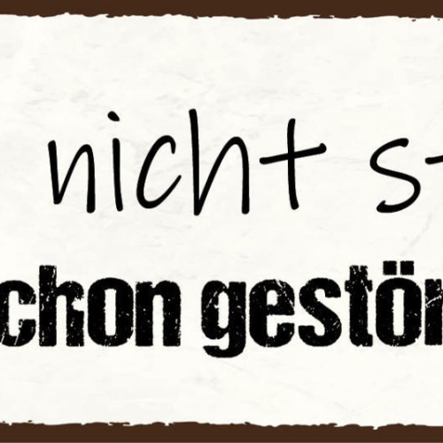 Schild Bitte Nicht Stören Ich Bin Schon Gestört Genug Irre 27x10 Blech od.Holz