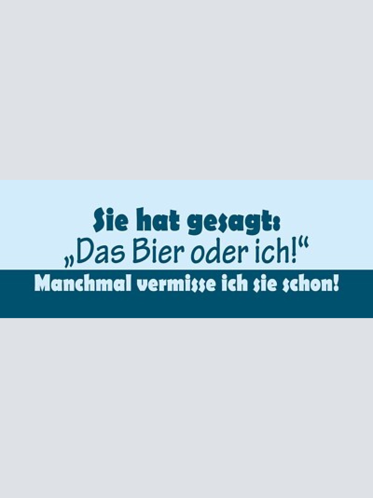 Schild sie hat gesagt das bier oder ich manchmal vermisse ich sie schon 27 x 10