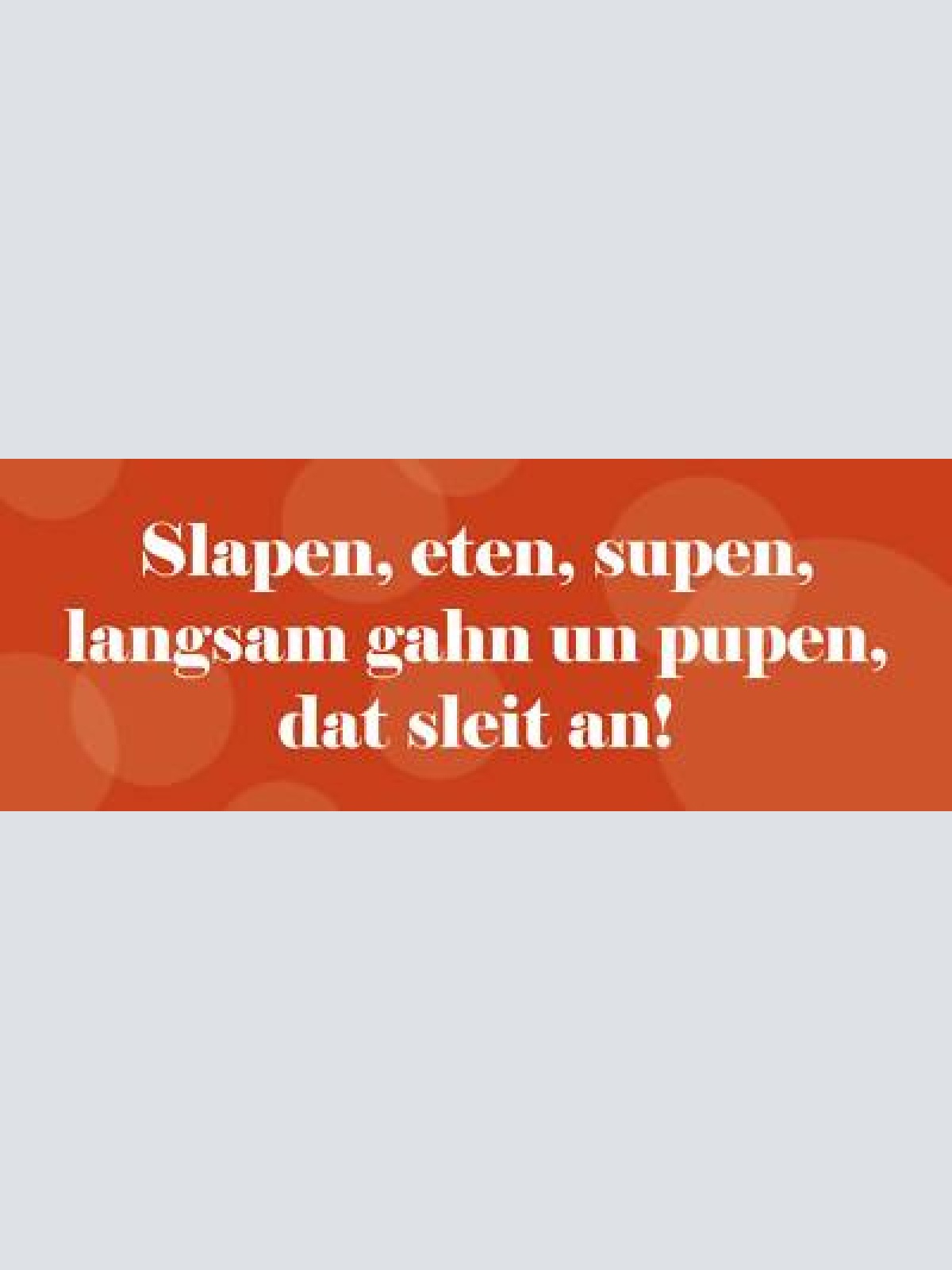 Schild slapen eten supen langsam gahn un pupen dat sleit an 27x10 blech od.holz