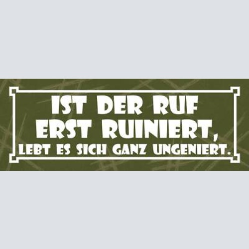 Schild ist der ruf erst ruiniert lebt es sich ganz ungeniert 27x10 blech od.holz