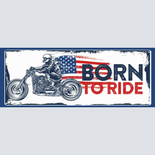 Schild Born To Ride Motorrad Fahrer Biker Bike USA Fahne 27x10 Blech od.Holz