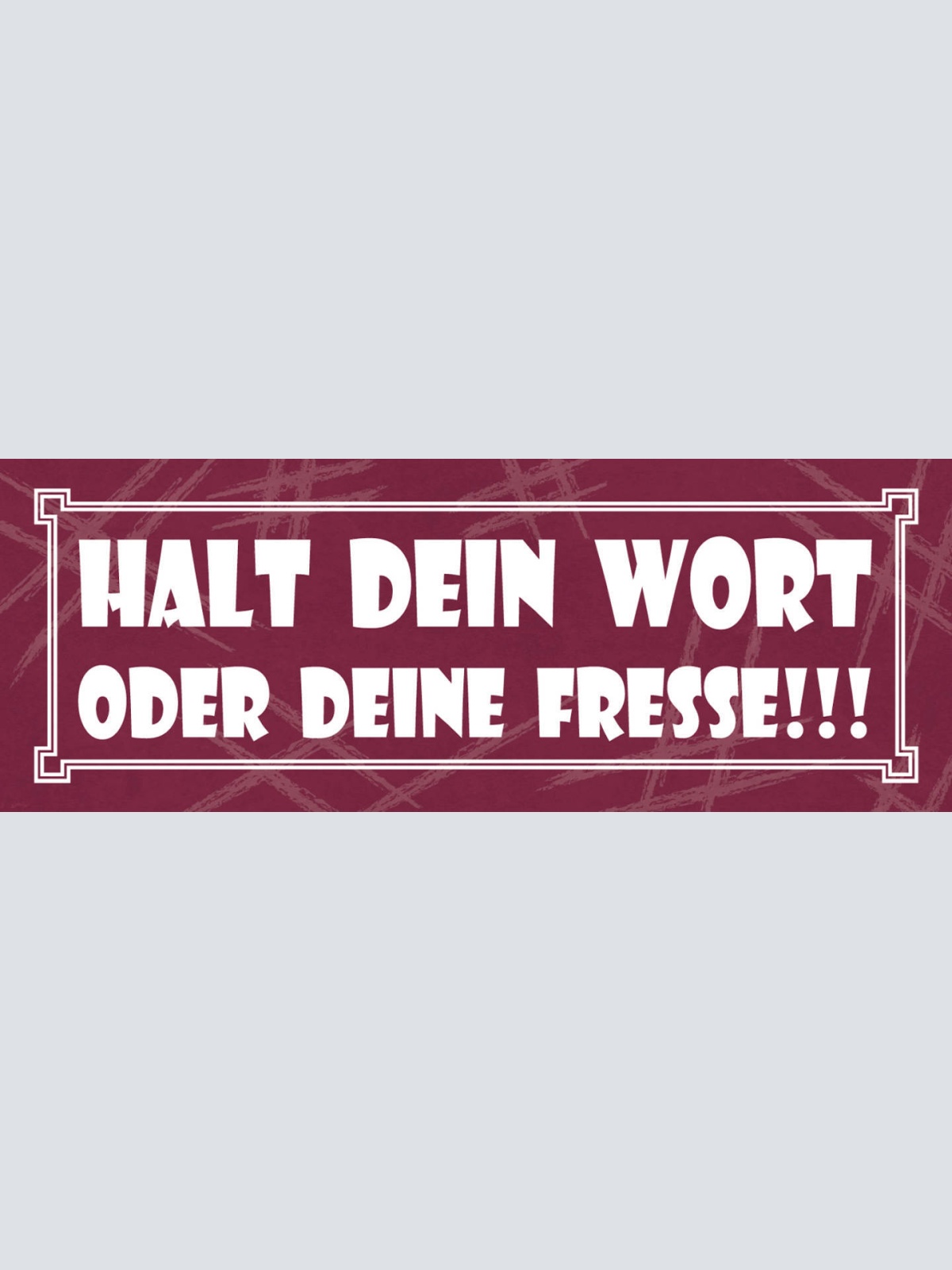 Schild Halt Dein Wort Oder Deine Fresse Mund Versprechen 27 x 10 Blech od. Holz