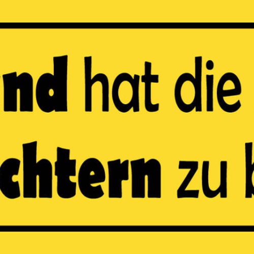 Schild Niemand Hat Die Absicht Hier Nüchtern Zu Bleiben Bier 27x10 Blech od.Holz