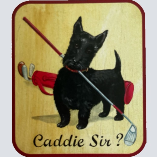 Nostalgie Holzschild Caddie Sir? Hund Golf Spielen Golfschläger Schild
