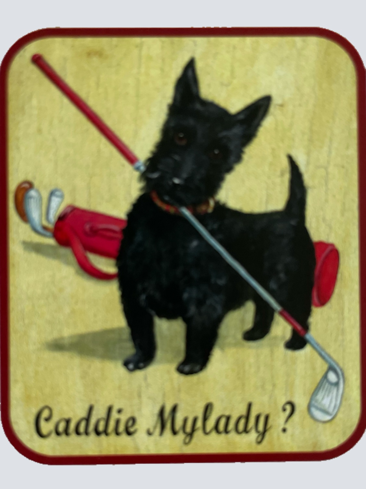 Nostalgie Holzschild Caddie Mylady? Hund Golf Spielen Golfschläger Schild