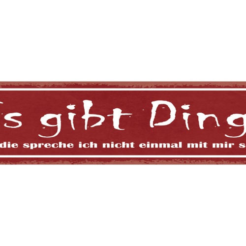 Schild Es Gibt Dinge Über Die Spreche Ich Nicht Einmal Mit Mir Selbst 46 x 10