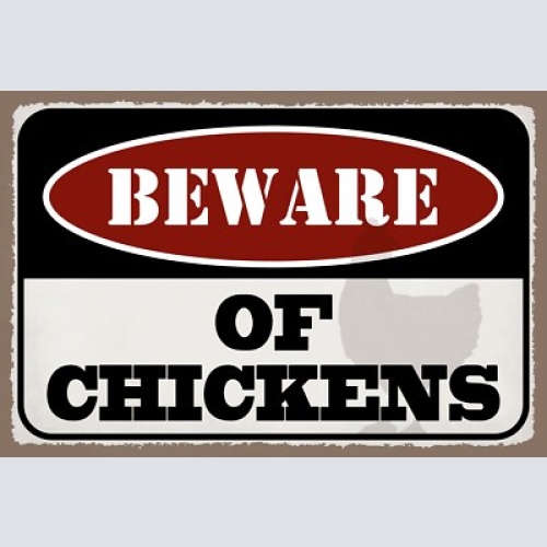 Schild beware chickens vorsicht hühner hahn 12x18 / 20x30 / 30x40 blech od. holz