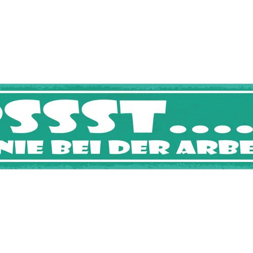 Schild Psst Genie Bei Der Arbeit Profi Arbeiten Job 46 x 10 Blech od. Holz