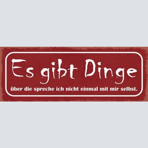 Schild es gibt dinge über die spreche ich nicht einmal mit mir selbst 27x10