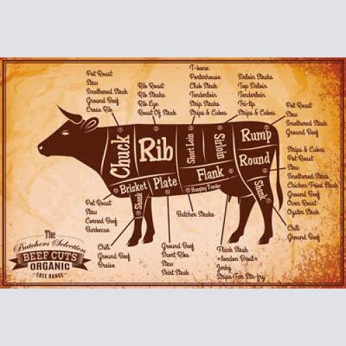 Nostalgie schild beef cuts kuh rind diagramm 12x18 / 20x30 / 30x40 blech od.holz