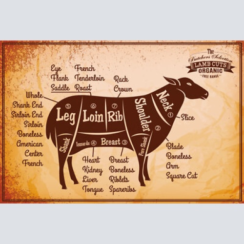 Nostalgie schild lamb cuts lamm diagramm 12x18 / 20x30 / 30x40 blech od. holz