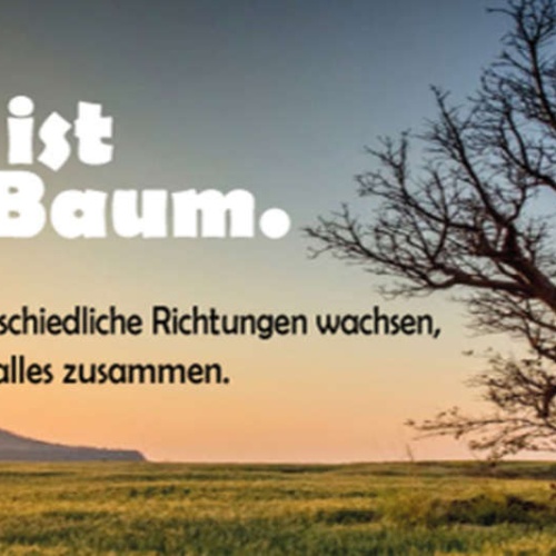 Schild Familie Ist Wie Ein Baum Zweige In Unterschiedliche Richtungen Wurzeln