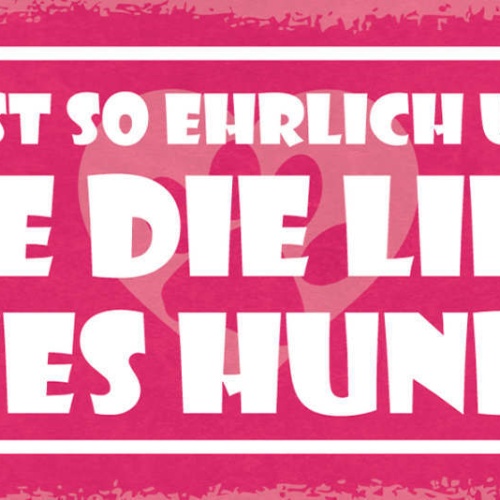 Schild Nichts Ist So Ehrlich & Echt Wie Die Liebe Eines Hundes Hund Tier 27x10