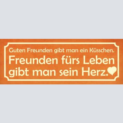 Schild guten freunden gibt man ein küsschen fürs leben gibt man sein herz 27x10