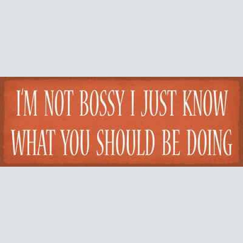 Schild i'm not bossy i just know what you should be doing 27x10 blech od.holz