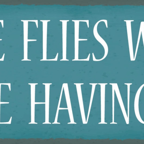 Schild Time Flies When You're Having Rum Alkohol Trinken 27x10 Blech od.Holz