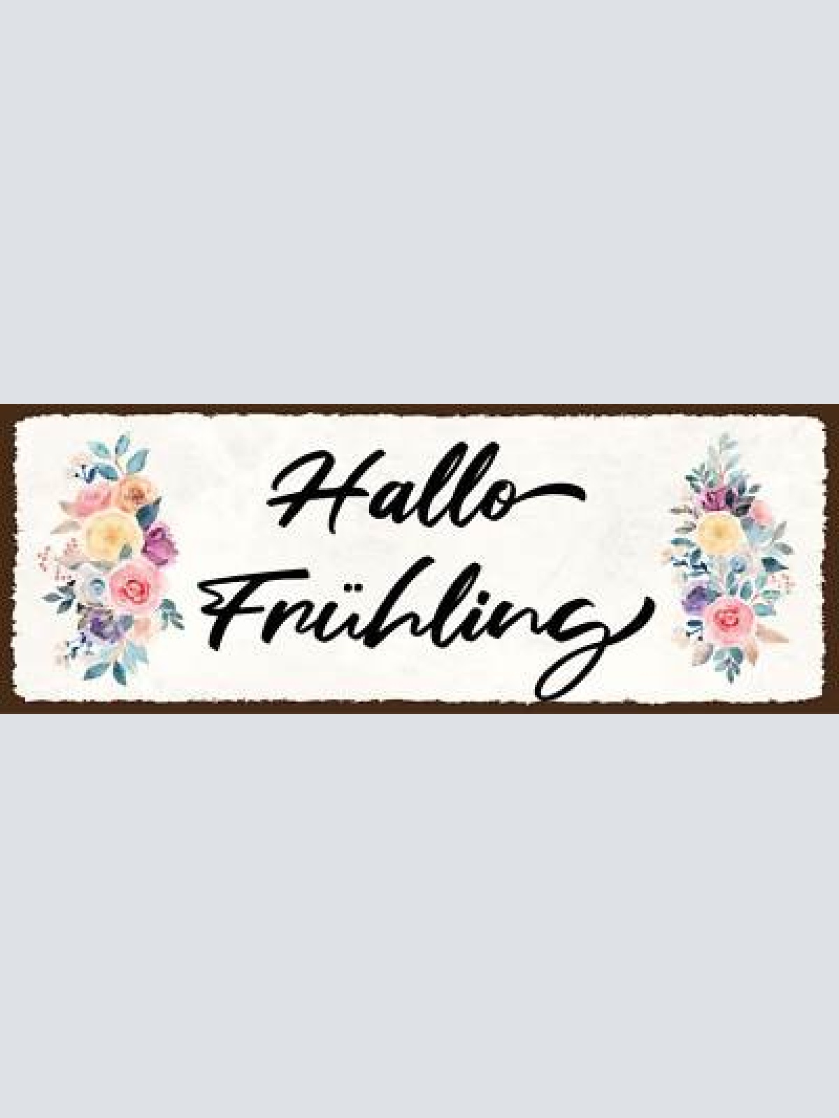 Schild hallo frühling lenz frühjahr jahreszeit saison 27x10 blech od.holz