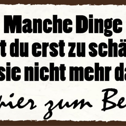 Schild Manche Dinge Lernst Du Erst Zu Schätzen Wenn Nicht Mehr Da Sind Klopapier