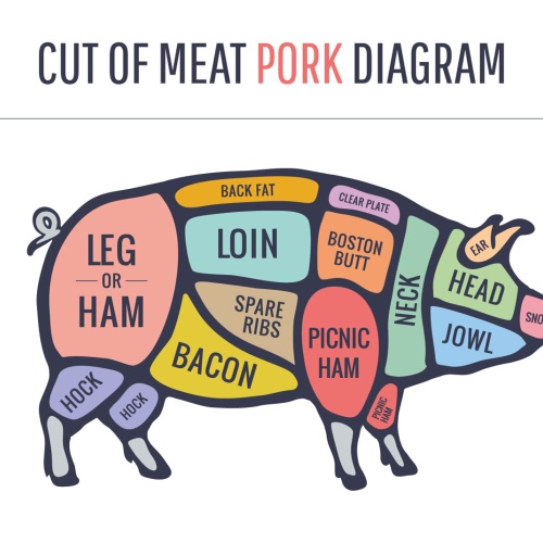 Nostalgie Schild Cuts of Pork Schwein Diagr. 12x18 / 20x30 / 30x40 Blech od.Holz