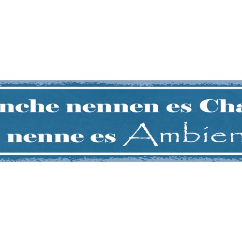 Schild Manche Nennen Es Chaos Ich Nenne Es Ambiente Unordnung 46 x 10