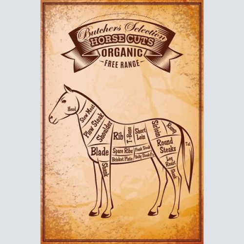 Nostalgie schild horse cuts pferd diagramm 12x18 / 20x30 / 30x40 blech od. holz