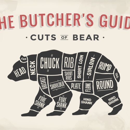 Nostalgie Schild Cuts of Bear Bär Diagramm 12x18 / 20x30 / 30x40 Blech od. Holz