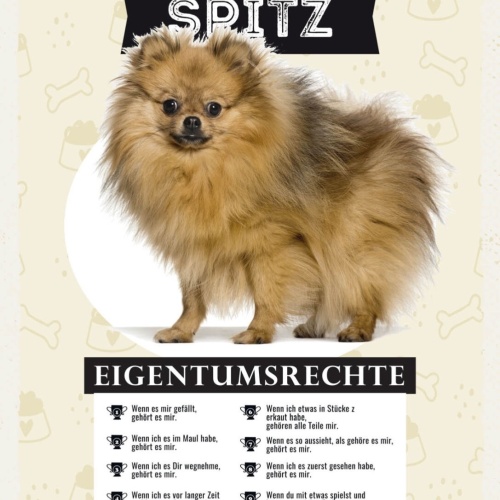 Schild Spitz Eigentumsrechte Hund Tier Liebe 12x18 20x30 30x40 Blech/Holz